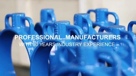 Awwa Ductile Iron Flanged Ends Non Rising Stem Control Water Flange Gate Valve